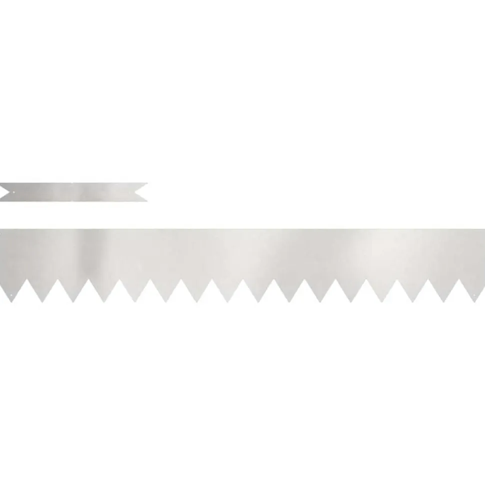vidaXL Tuinrand 10 pcs Zilver 100 x 0.05 x 20 cm Roestvrij staal