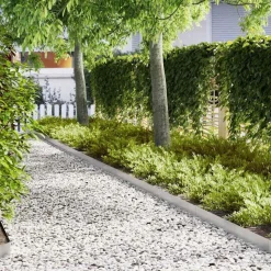 vidaXL Tuinrand 10 pcs Zilver 100 x 0.05 x 20 cm Roestvrij staal