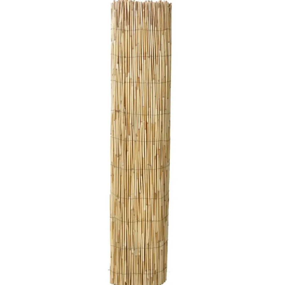 vidaXL Tuinscherm 500x100 cm riet