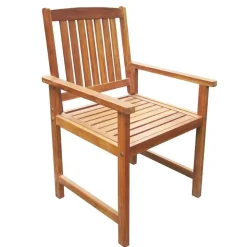 vidaXL Tuinstoelen 2 st massief acaciahout bruin
