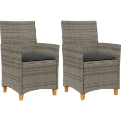 vidaXL Tuinstoelen 2 st met kussens poly rattan en massief hout grijs