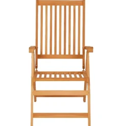 vidaXL Tuinstoelen 2 st met koningsblauwe kussens massief teakhout