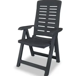vidaXL Tuinstoelen 2 st verstelbaar kunststof antracietkleurig