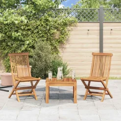 vidaXL Tuinstoelen inklapbaar 2 st massief teakhout