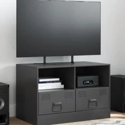 vidaXL Tv-meubel 67x39x44 cm staal zwart