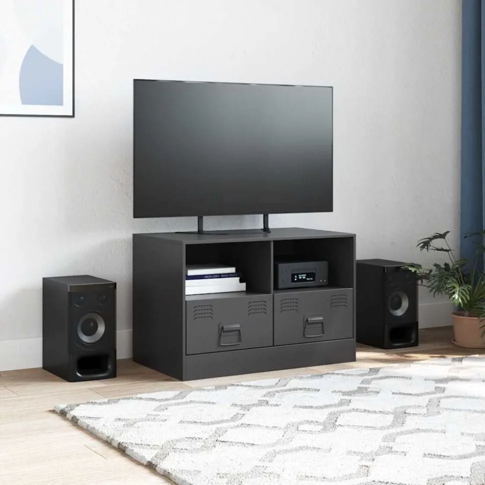 vidaXL Tv-meubel 67x39x44 cm staal zwart