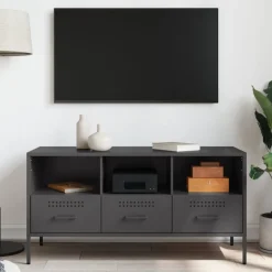 vidaXL Tv-meubel 100,5x39x50,5 cm staal zwart