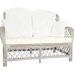 vidaXL Tweezitsbank rattan grijs