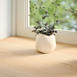 vidaXL Vensterbanken 2 st onbehandeld 70x15x2 cm massief eikenhout