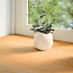 vidaXL Vensterbanken 2 st 70x15x2 cm massief eikenhout lichtbruin