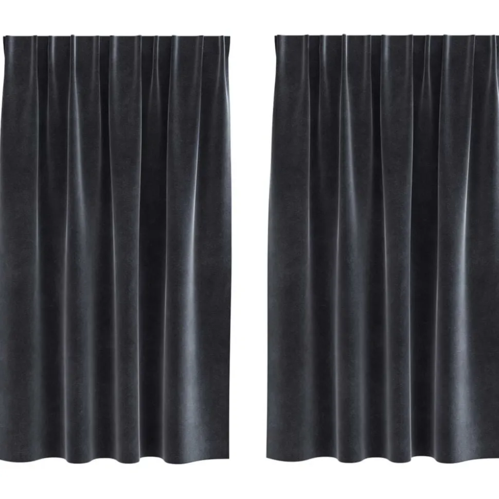vidaXL Verduisterende gordijnen 2 pcs Donkergrijs 140 x 140 cm Fluweel