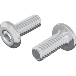 vidaXL Vergrendelingsschroef 2 pcs Zilver M6 x 15 mm Staal