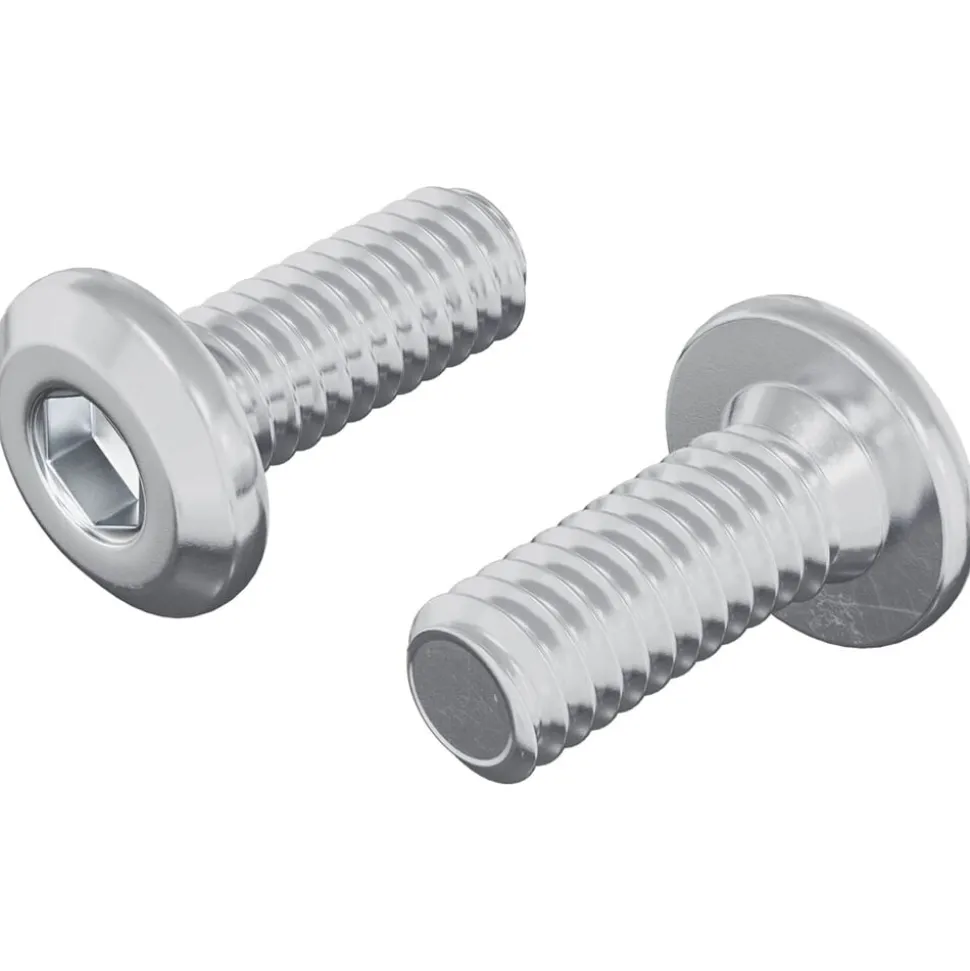 vidaXL Vergrendelingsschroef 2 pcs Zilver M6 x 15 mm Staal