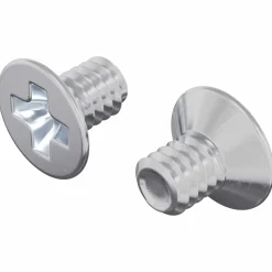vidaXL Verzonken schroeven 2 pcs Zilver M4 x 6 mm Staal
