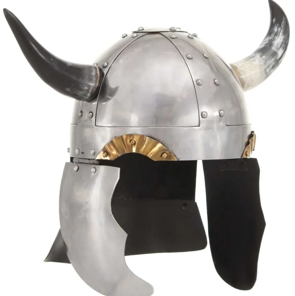 vidaXL Vikinghelm fantasie LARP staal zilverkleurig