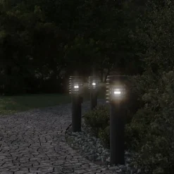 vidaXL Vloerlamp voor buiten 60 cm roestvrij staal zwart