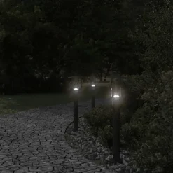 vidaXL Vloerlamp voor buiten 60 cm roestvrij staal zwart