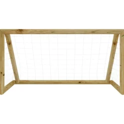 vidaXL Voetbaldoel met net 160x80x100 cm geïmpregneerd grenenhout