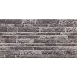 vidaXL Wandpanelen 10 pcs Antracietkleurig 100 x 50 cm EPS-schuim