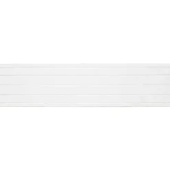 vidaXL Wandpanelen 10 pcs Lichtgrijs 100 x 25 cm EPS-schuim