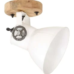 vidaXL Wand-/plafondlampen industrieel 2 st E27 20x25 cm wit