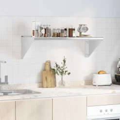 vidaXL Wandschap 100x45x31 cm roestvrijstaal zilverkleurig