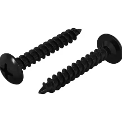 vidaXL Zelftappende Nagel 2 pcs Zwart 4 x 25 mm Staal