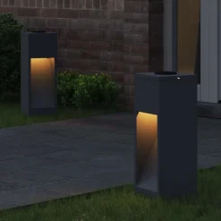 vidaXL Zonne LED Padverlichting 2 pcs Antraciet Koudgewalst staal
